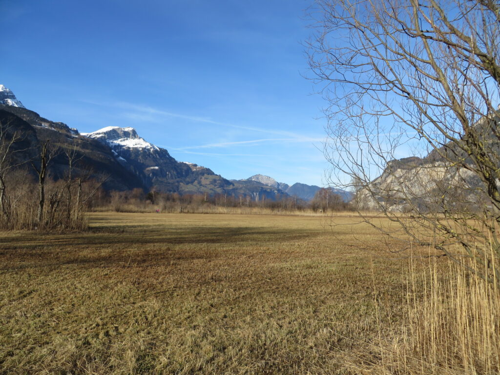 Riedlandschaft